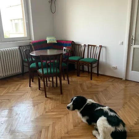 Charming Flat With Winter Garden Blending Classical Elegance And Modern Comfort